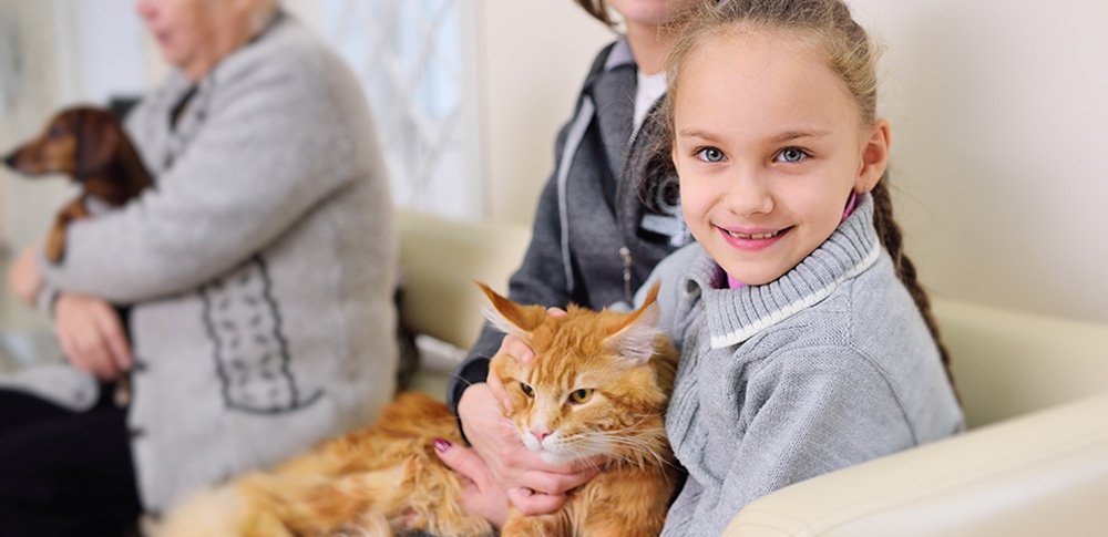 in-store marketing vet Header